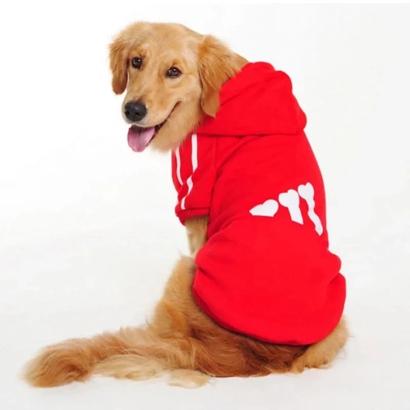 Autumn Dog Hoodies for Labradors
